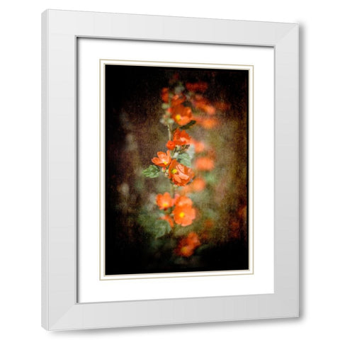 Desert Flower 5 White Modern Wood Framed Art Print with Double Matting by LightBoxJournal
