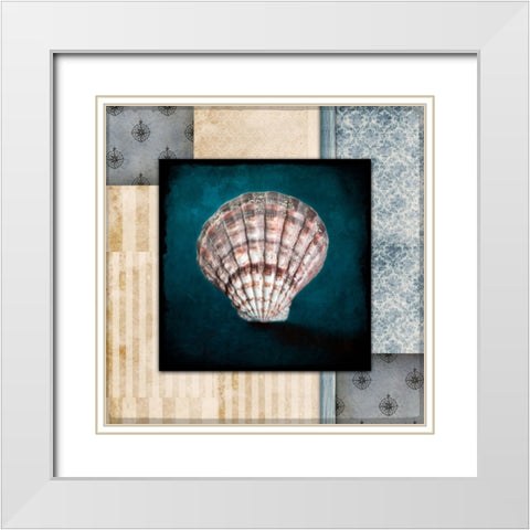 Blue Sea Clam Shell 2 White Modern Wood Framed Art Print with Double Matting by LightBoxJournal