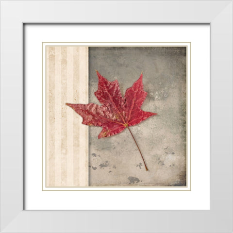Lodge Leaf 1 White Modern Wood Framed Art Print with Double Matting by LightBoxJournal