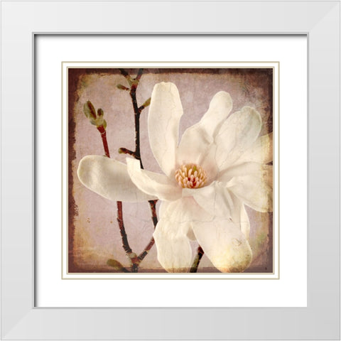Paper Magnolia Closeup White Modern Wood Framed Art Print with Double Matting by LightBoxJournal