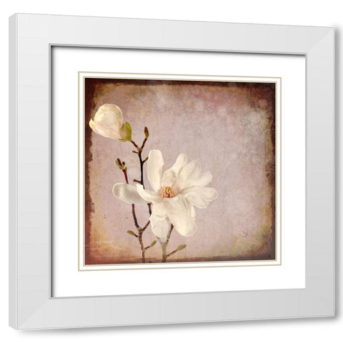 Paper Magnolia Duo White Modern Wood Framed Art Print with Double Matting by LightBoxJournal
