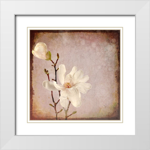 Paper Magnolia Duo White Modern Wood Framed Art Print with Double Matting by LightBoxJournal