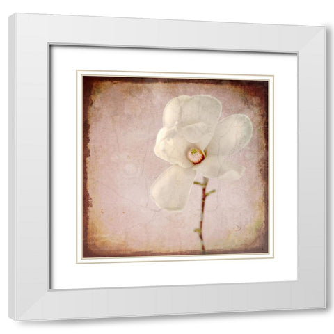 Paper Magnolia White Modern Wood Framed Art Print with Double Matting by LightBoxJournal