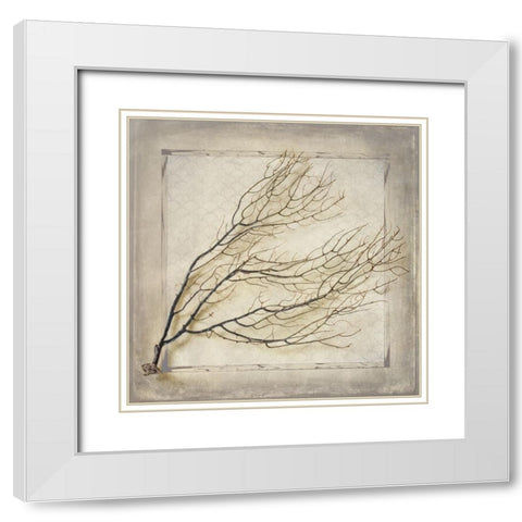 Starfish Sea Leaf White Modern Wood Framed Art Print with Double Matting by LightBoxJournal