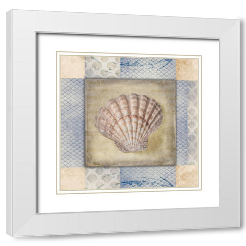 White Sea Shell White Modern Wood Framed Art Print with Double Matting by LightBoxJournal