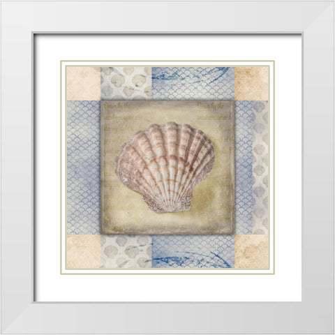 White Sea Shell White Modern Wood Framed Art Print with Double Matting by LightBoxJournal