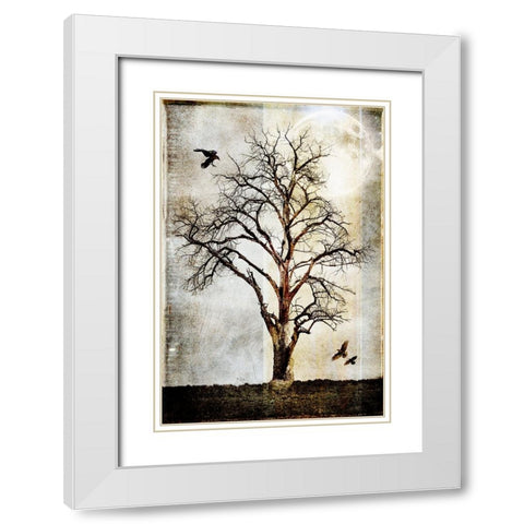 Cottonwood Tree Part 02 White Modern Wood Framed Art Print with Double Matting by LightBoxJournal