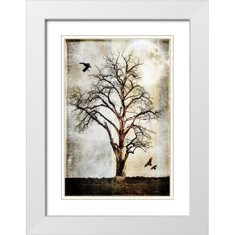 Cottonwood Tree Part 02 White Modern Wood Framed Art Print with Double Matting by LightBoxJournal