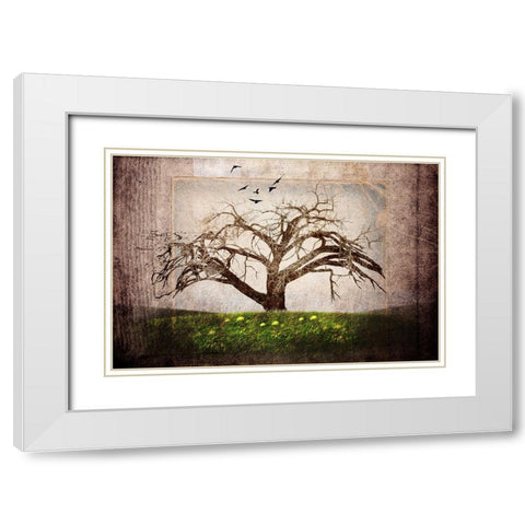 Cottonwood Tree Part 03 White Modern Wood Framed Art Print with Double Matting by LightBoxJournal