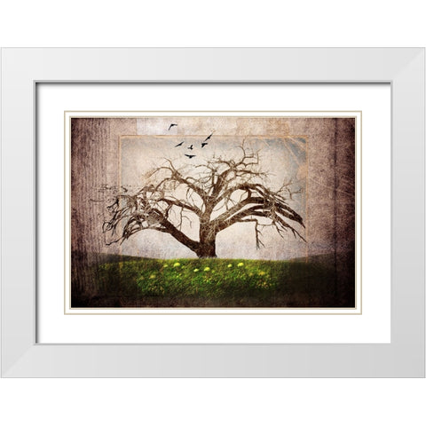 Cottonwood Tree Part 03 White Modern Wood Framed Art Print with Double Matting by LightBoxJournal