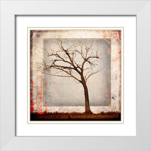 Cottonwood Tree Part 05 White Modern Wood Framed Art Print with Double Matting by LightBoxJournal