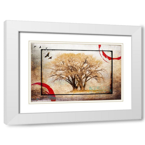 Cottonwood Tree Part 06 White Modern Wood Framed Art Print with Double Matting by LightBoxJournal