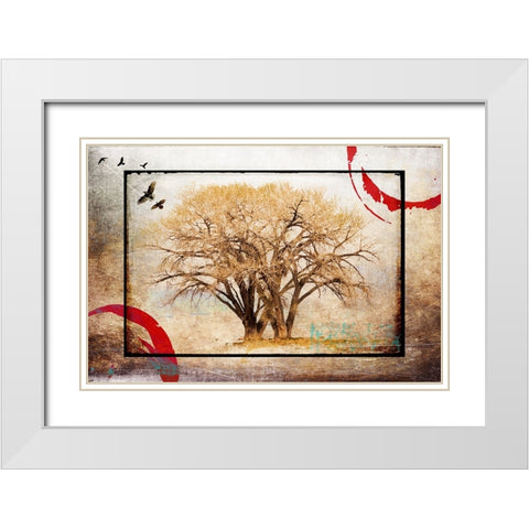 Cottonwood Tree Part 06 White Modern Wood Framed Art Print with Double Matting by LightBoxJournal