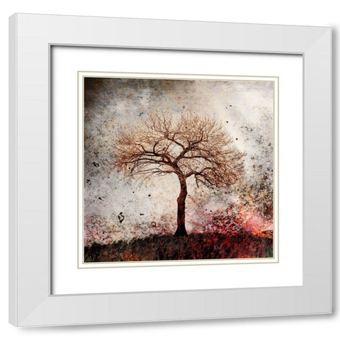 Cottonwood Tree Part 09 White Modern Wood Framed Art Print with Double Matting by LightBoxJournal
