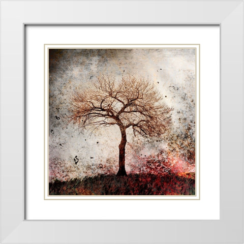 Cottonwood Tree Part 09 White Modern Wood Framed Art Print with Double Matting by LightBoxJournal