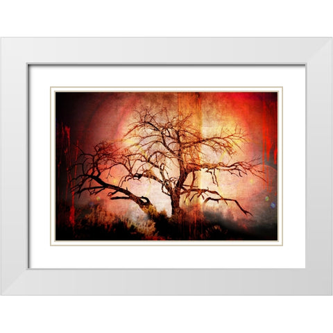 Cottonwood Tree Part 10 White Modern Wood Framed Art Print with Double Matting by LightBoxJournal