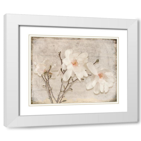Spring Magnolia White Modern Wood Framed Art Print with Double Matting by LightBoxJournal