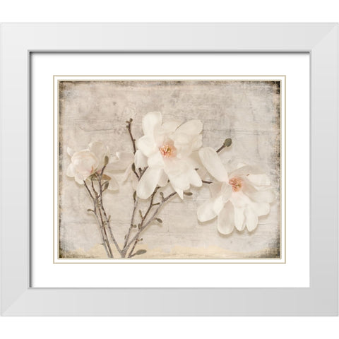 Spring Magnolia White Modern Wood Framed Art Print with Double Matting by LightBoxJournal