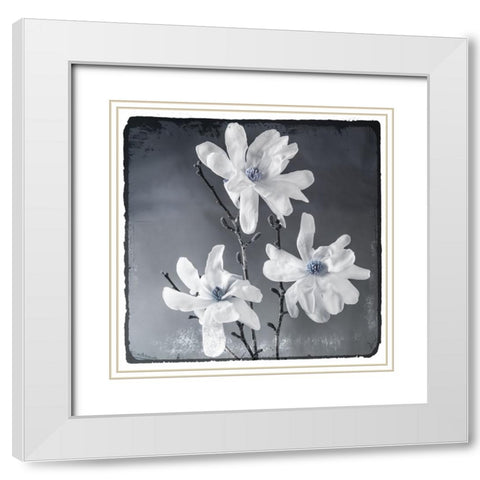 Blue Magnolia 2 White Modern Wood Framed Art Print with Double Matting by LightBoxJournal