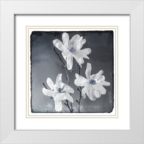 Blue Magnolia 2 White Modern Wood Framed Art Print with Double Matting by LightBoxJournal