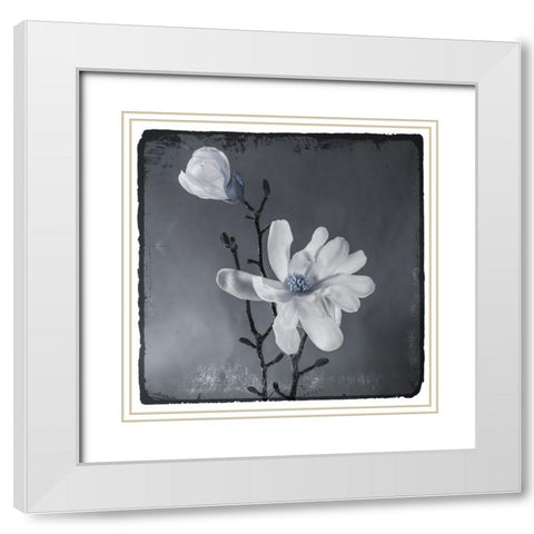 Blue Magnolia White Modern Wood Framed Art Print with Double Matting by LightBoxJournal