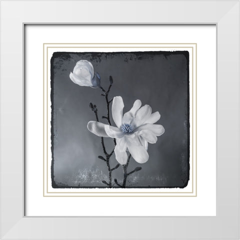 Blue Magnolia White Modern Wood Framed Art Print with Double Matting by LightBoxJournal