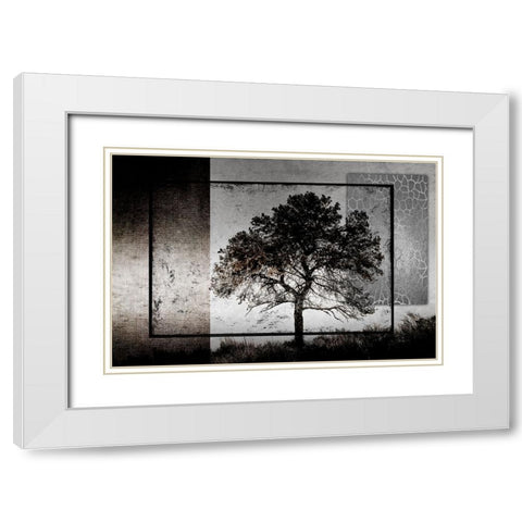 July Tree White Modern Wood Framed Art Print with Double Matting by LightBoxJournal