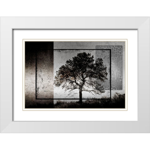 July Tree White Modern Wood Framed Art Print with Double Matting by LightBoxJournal