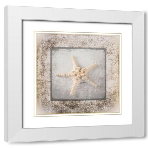 Stone Star 2 White Modern Wood Framed Art Print with Double Matting by LightBoxJournal
