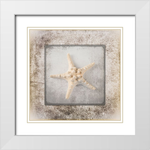 Stone Star 2 White Modern Wood Framed Art Print with Double Matting by LightBoxJournal