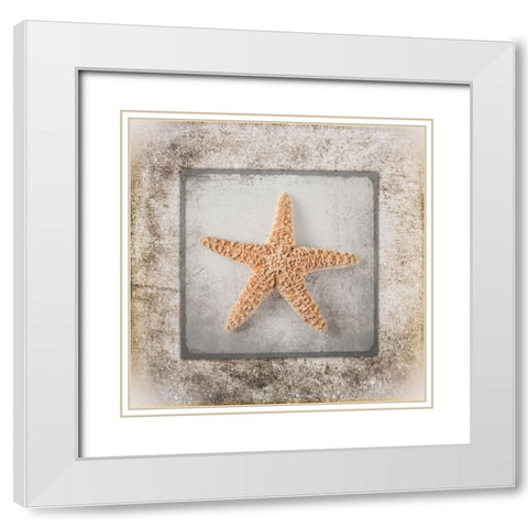 Stone Star White Modern Wood Framed Art Print with Double Matting by LightBoxJournal