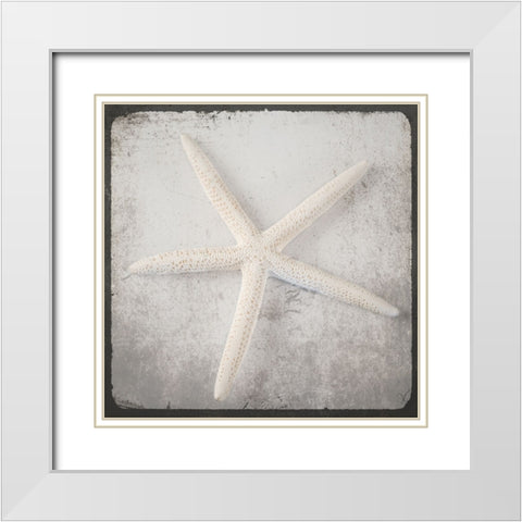 Vintage Natuical Set 2 White Modern Wood Framed Art Print with Double Matting by LightBoxJournal