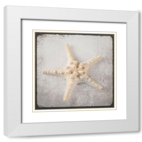 Vintage Natuical Set White Modern Wood Framed Art Print with Double Matting by LightBoxJournal