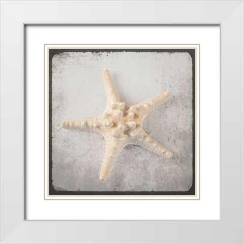Vintage Natuical Set White Modern Wood Framed Art Print with Double Matting by LightBoxJournal