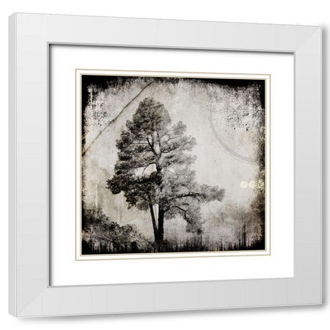 July Tree 12 White Modern Wood Framed Art Print with Double Matting by LightBoxJournal