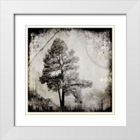 July Tree 12 White Modern Wood Framed Art Print with Double Matting by LightBoxJournal