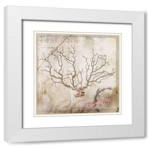 Sea Leaf White Modern Wood Framed Art Print with Double Matting by LightBoxJournal