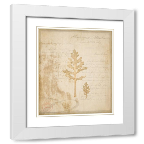 Scientific Plant 4 White Modern Wood Framed Art Print with Double Matting by LightBoxJournal