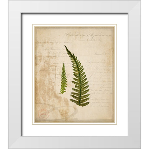 Scientific Plant 5 White Modern Wood Framed Art Print with Double Matting by LightBoxJournal