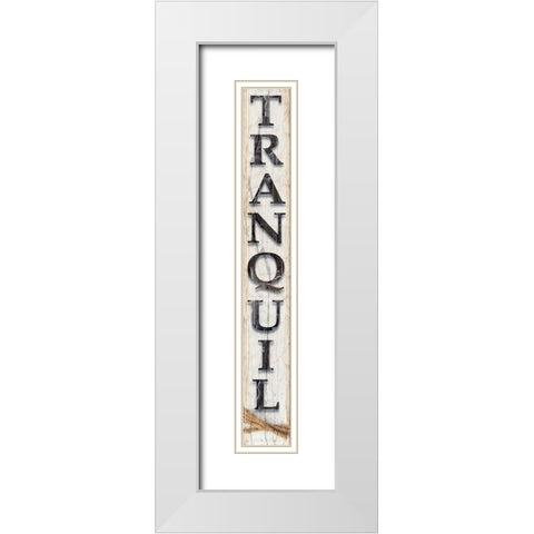 Country Wood Sign V1 1 White Modern Wood Framed Art Print with Double Matting by LightBoxJournal