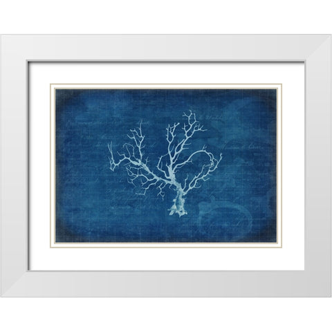 Gypsy Blue Cyanotype V1 White Modern Wood Framed Art Print with Double Matting by LightBoxJournal