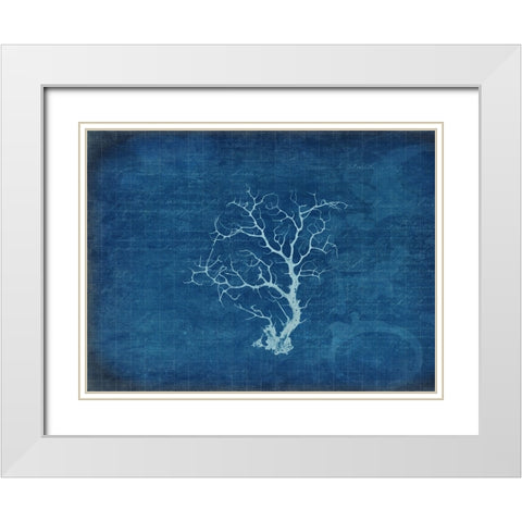 Gypsy Blue Cyanotype V2 White Modern Wood Framed Art Print with Double Matting by LightBoxJournal