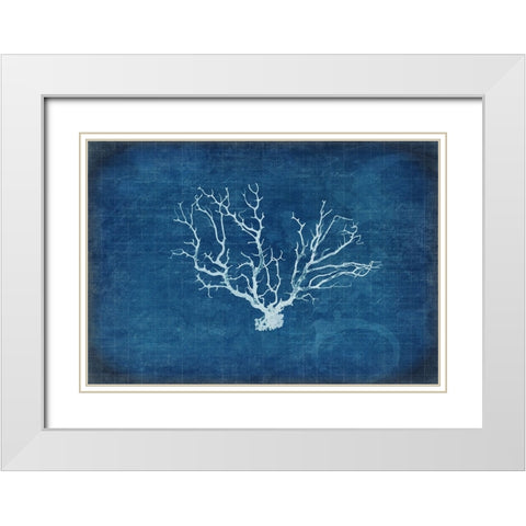 Gypsy Blue Cyanotype V3 White Modern Wood Framed Art Print with Double Matting by LightBoxJournal