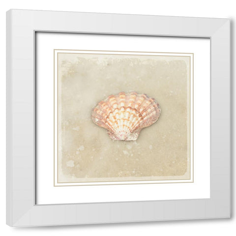 Gypsy Sea Brown 1 White Modern Wood Framed Art Print with Double Matting by LightBoxJournal