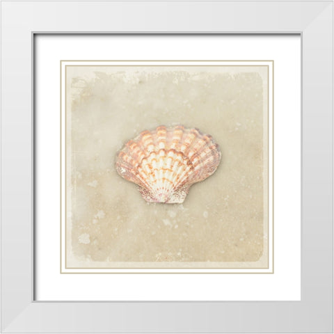Gypsy Sea Brown 1 White Modern Wood Framed Art Print with Double Matting by LightBoxJournal