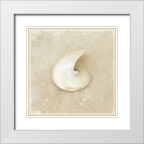 Gypsy Sea Brown 2 White Modern Wood Framed Art Print with Double Matting by LightBoxJournal