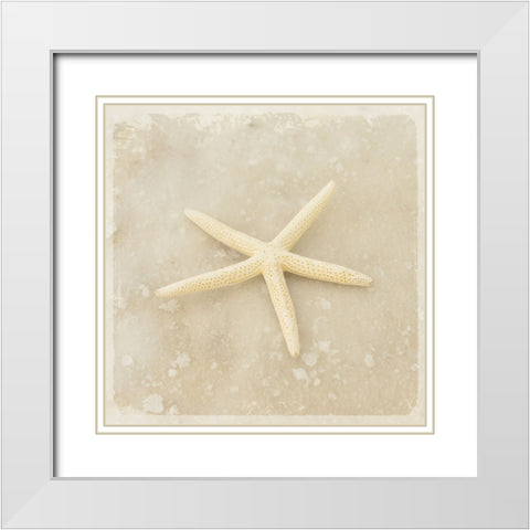 Gypsy Sea Brown 3 White Modern Wood Framed Art Print with Double Matting by LightBoxJournal