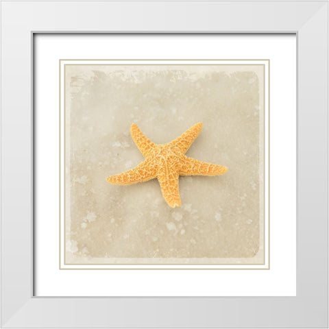 Gypsy Sea Brown 4 White Modern Wood Framed Art Print with Double Matting by LightBoxJournal