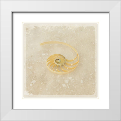 Gypsy Sea Brown 5 White Modern Wood Framed Art Print with Double Matting by LightBoxJournal