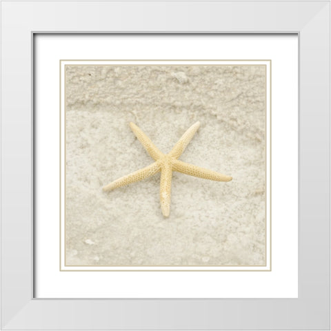 Gypsy Sea Life 3 White Modern Wood Framed Art Print with Double Matting by LightBoxJournal